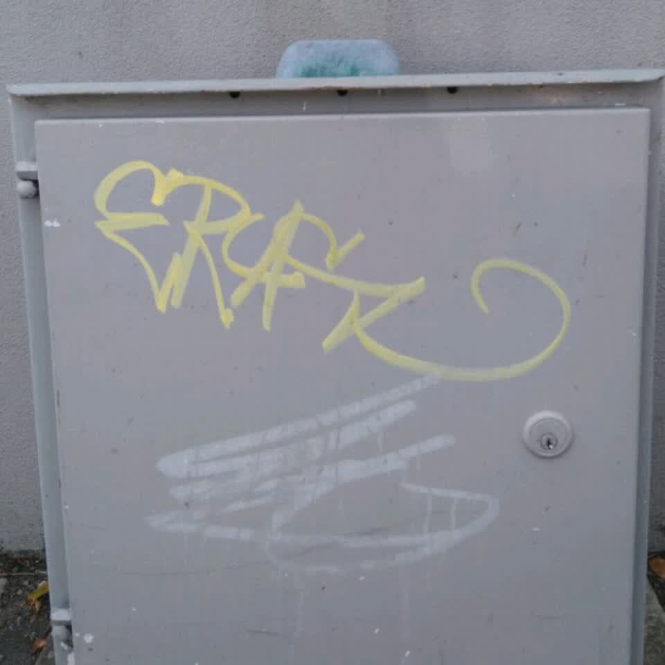 The photograph attached to this graffiti report