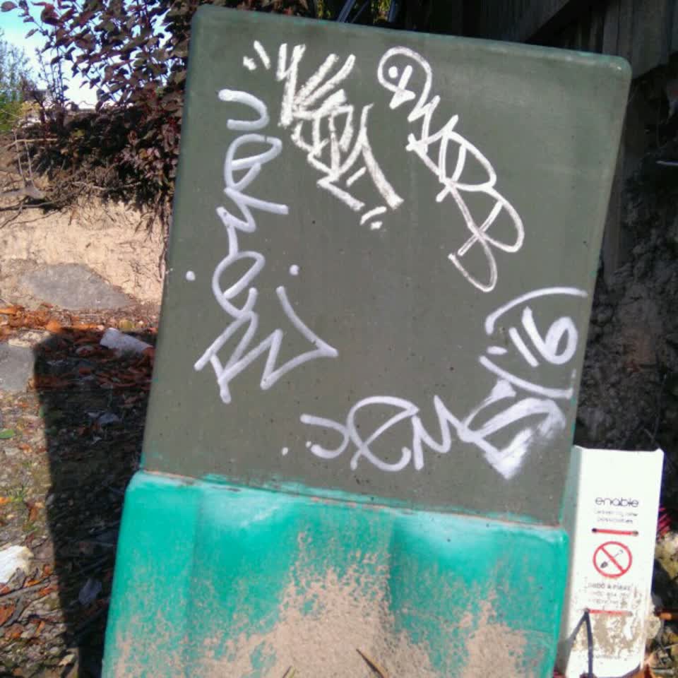 The photograph attached to this graffiti report