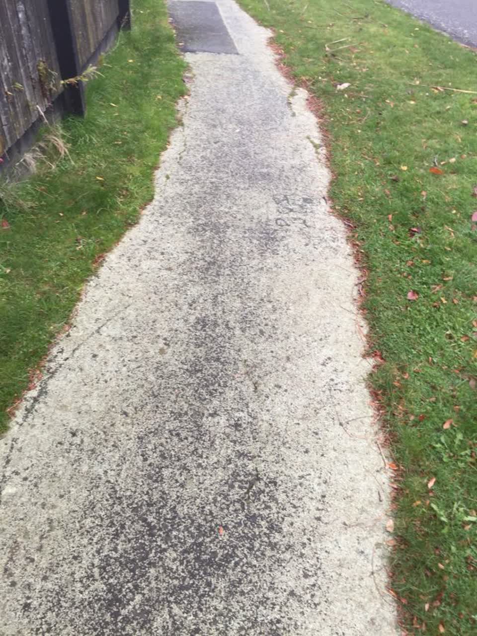 The photograph attached to this roading/streets report