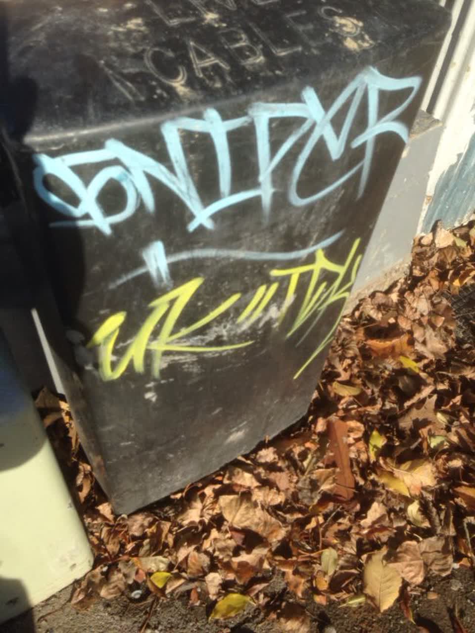 The photograph attached to this graffiti report
