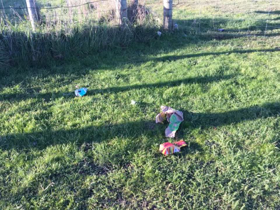 The photograph attached to this rubbish/recycling report