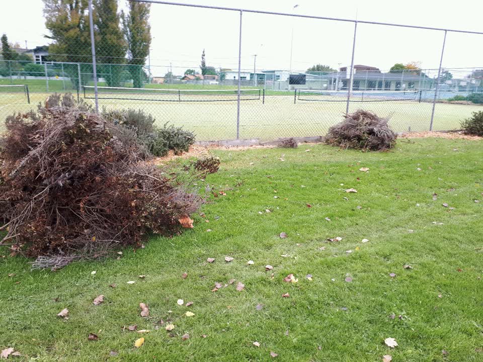 The photograph attached to this parks report