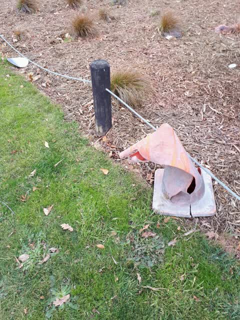Parks, a report photo