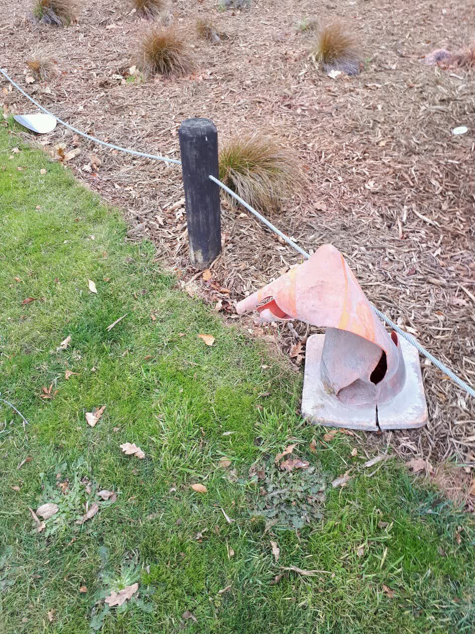 The photograph attached to this parks report