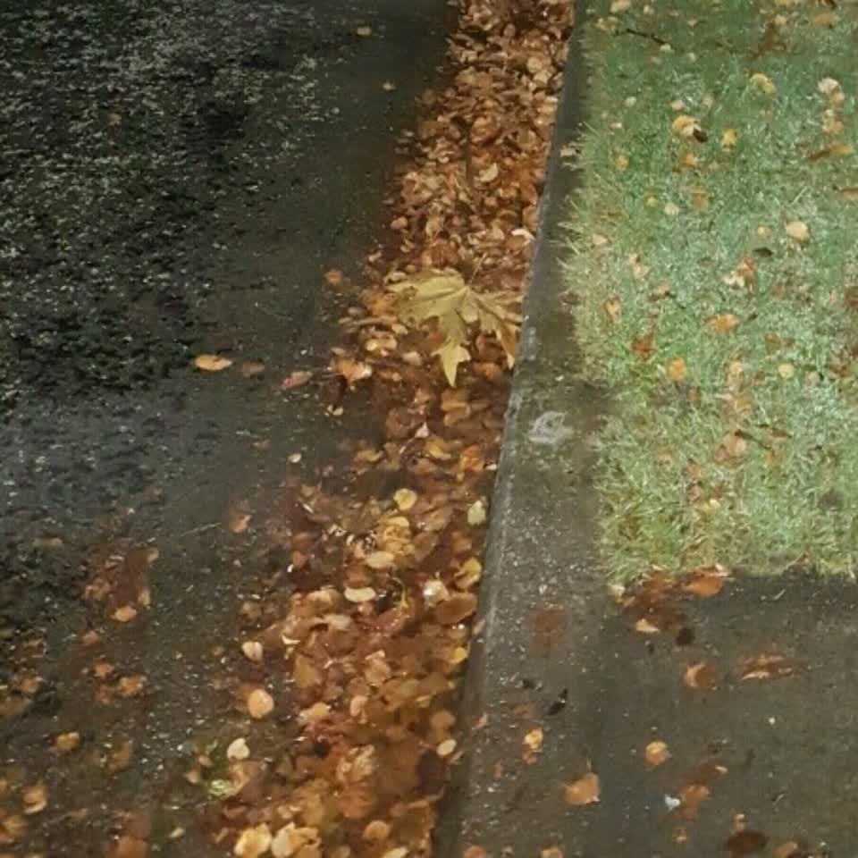 The photograph attached to this wastewater/stormwater report