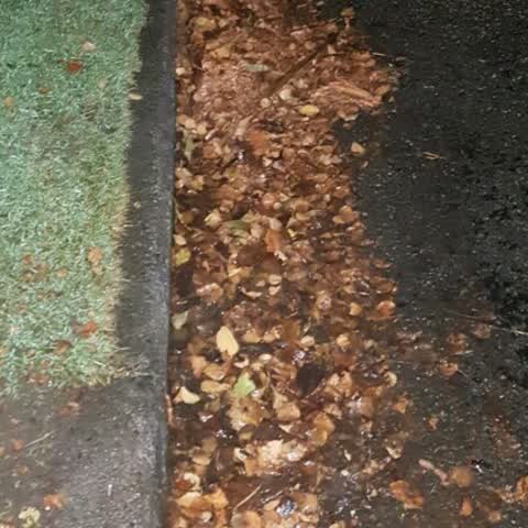 Wastewater/Stormwater, a report photo
