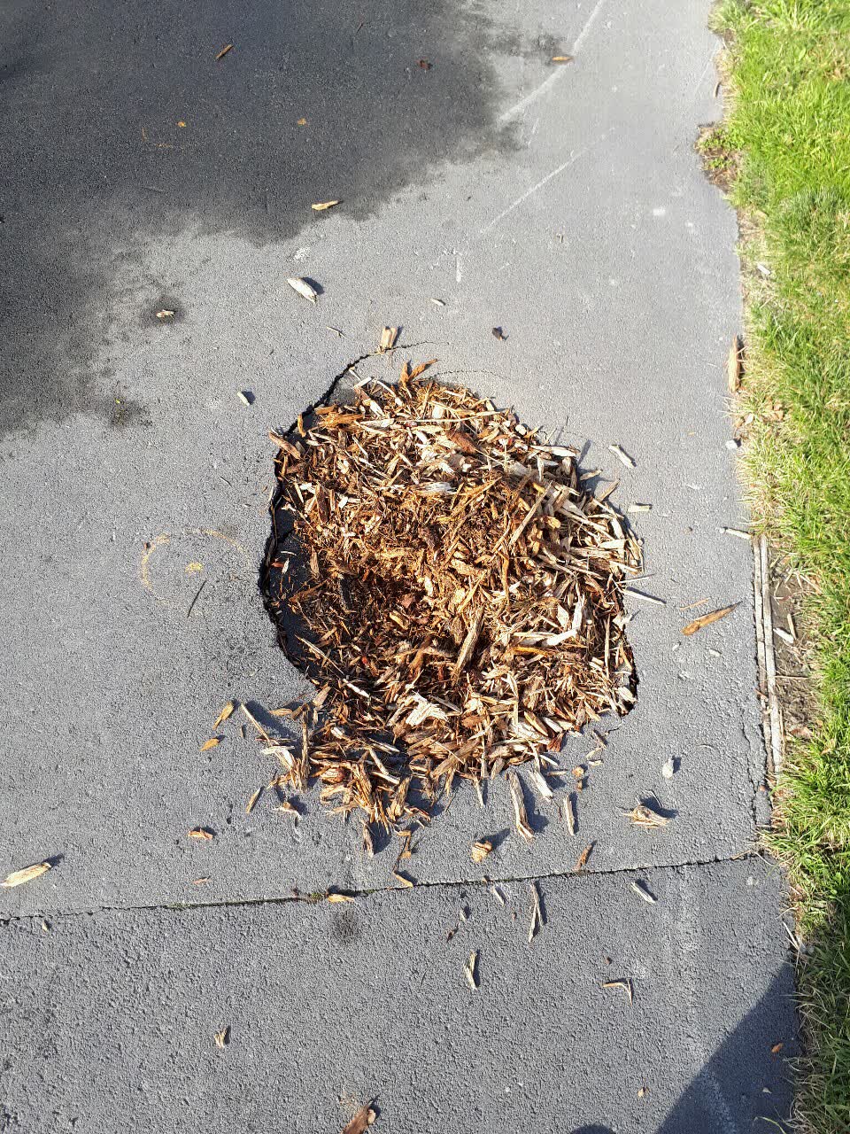 The photograph attached to this roading/streets report
