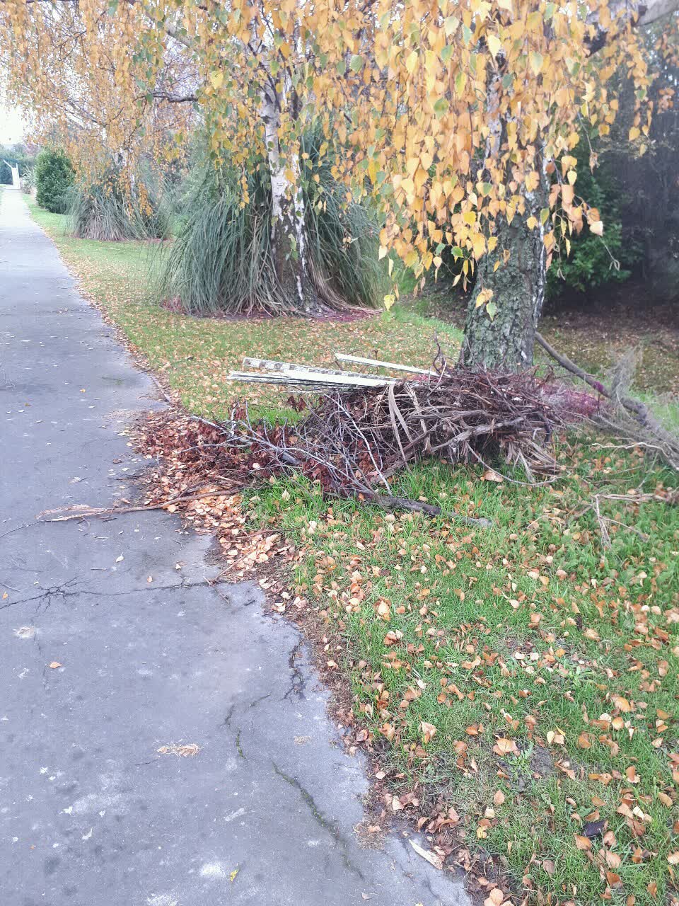 The photograph attached to this parks report