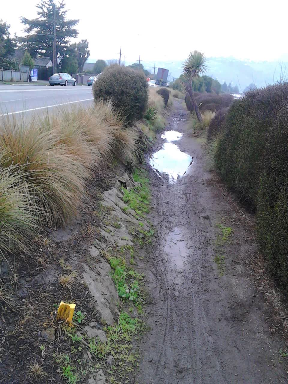 The photograph attached to this parks report