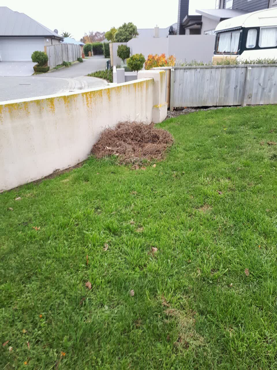 The photograph attached to this parks report