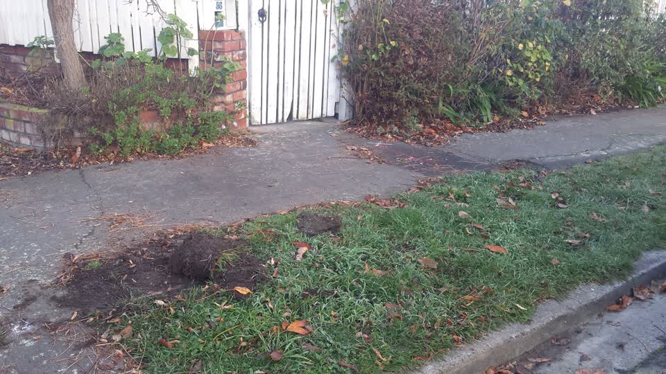 The photograph attached to this roading/streets report