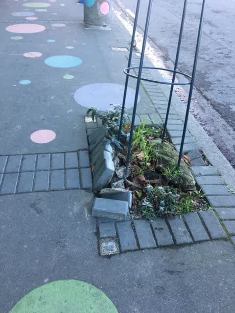 Roading/Streets, a report photo