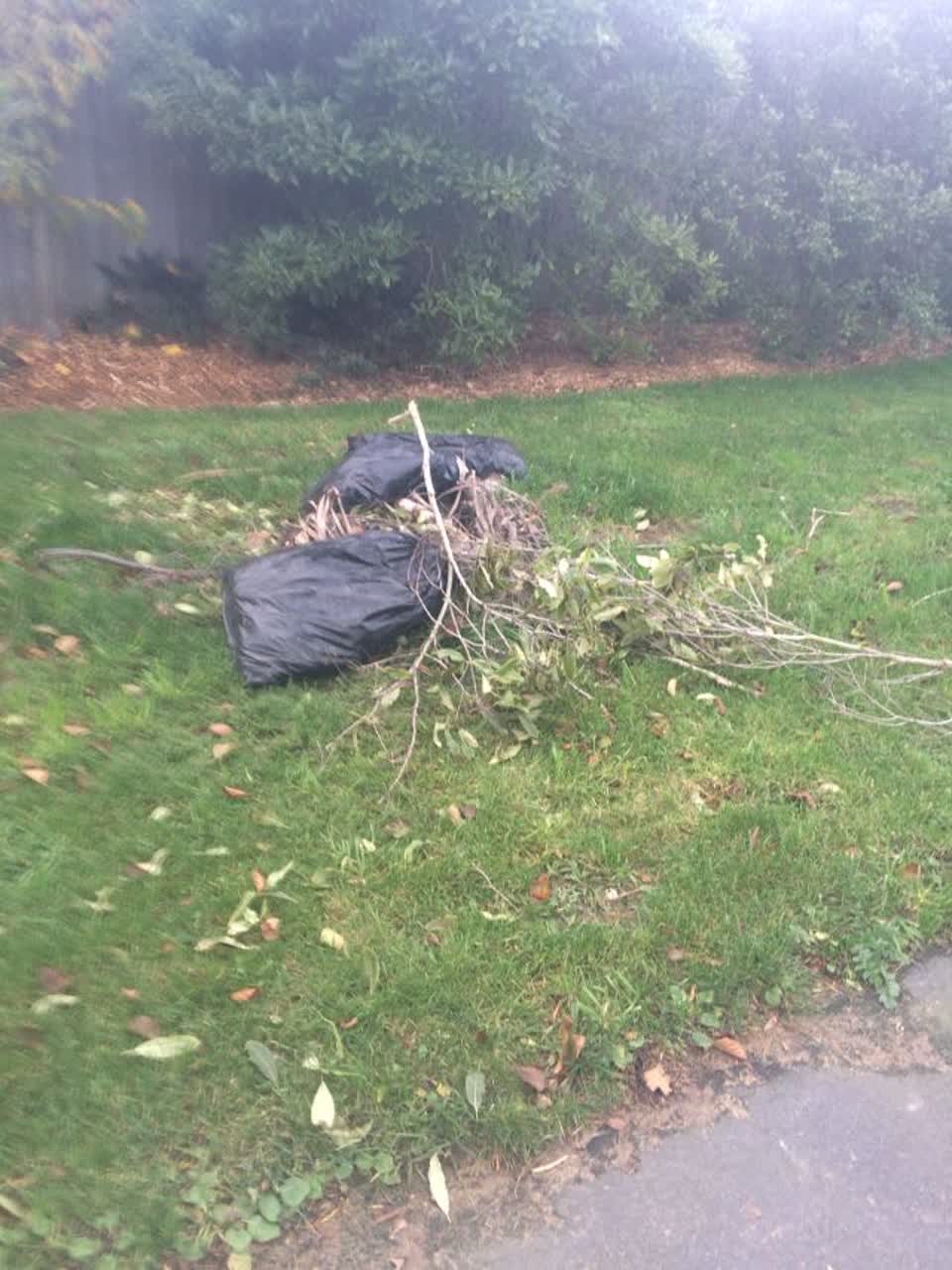 The photograph attached to this parks report