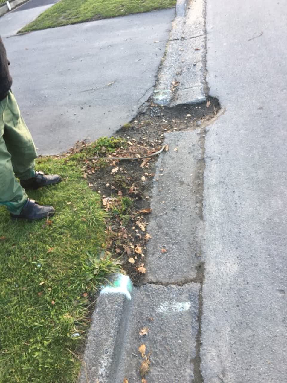 The photograph attached to this roading/streets report