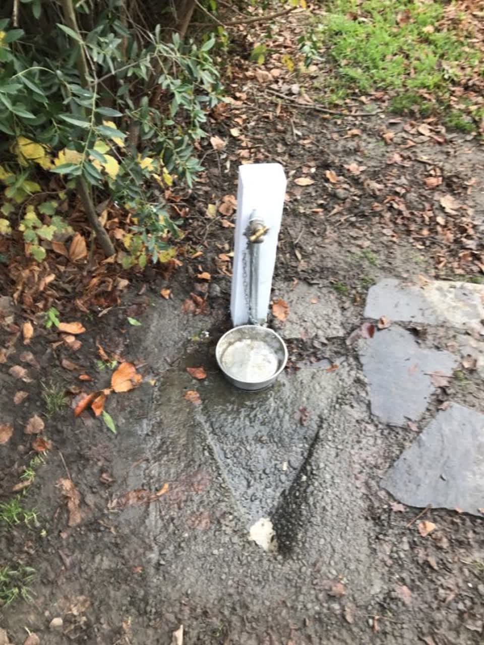 The photograph attached to this water supply report