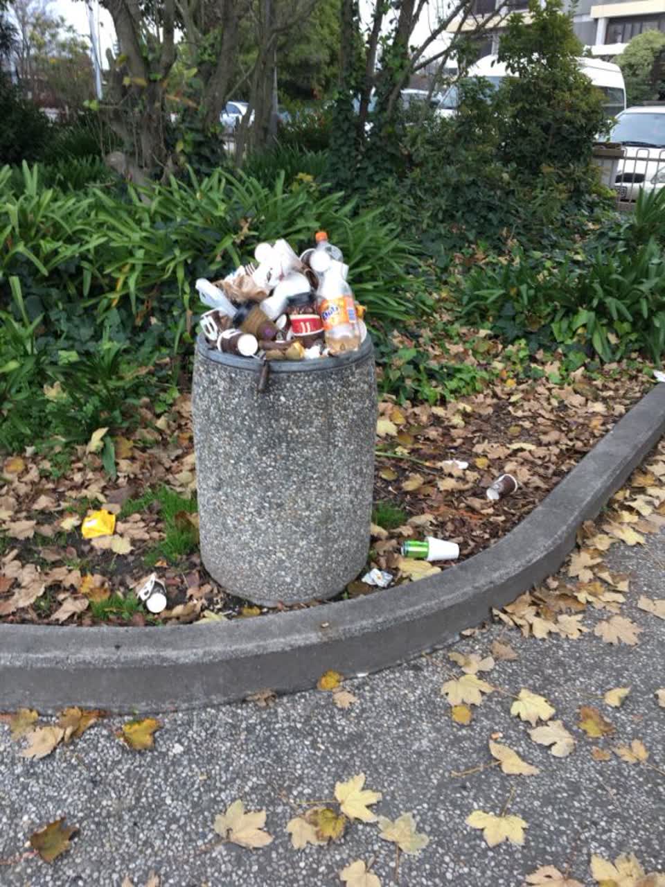 The photograph attached to this rubbish/recycling report