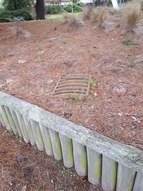 Parks, a report photo