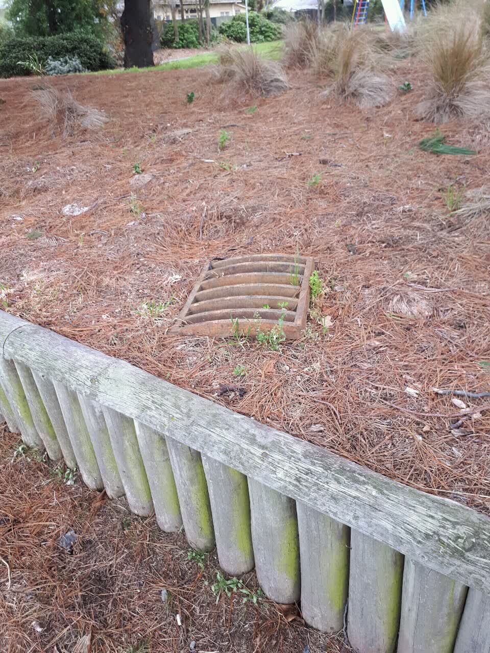 The photograph attached to this parks report