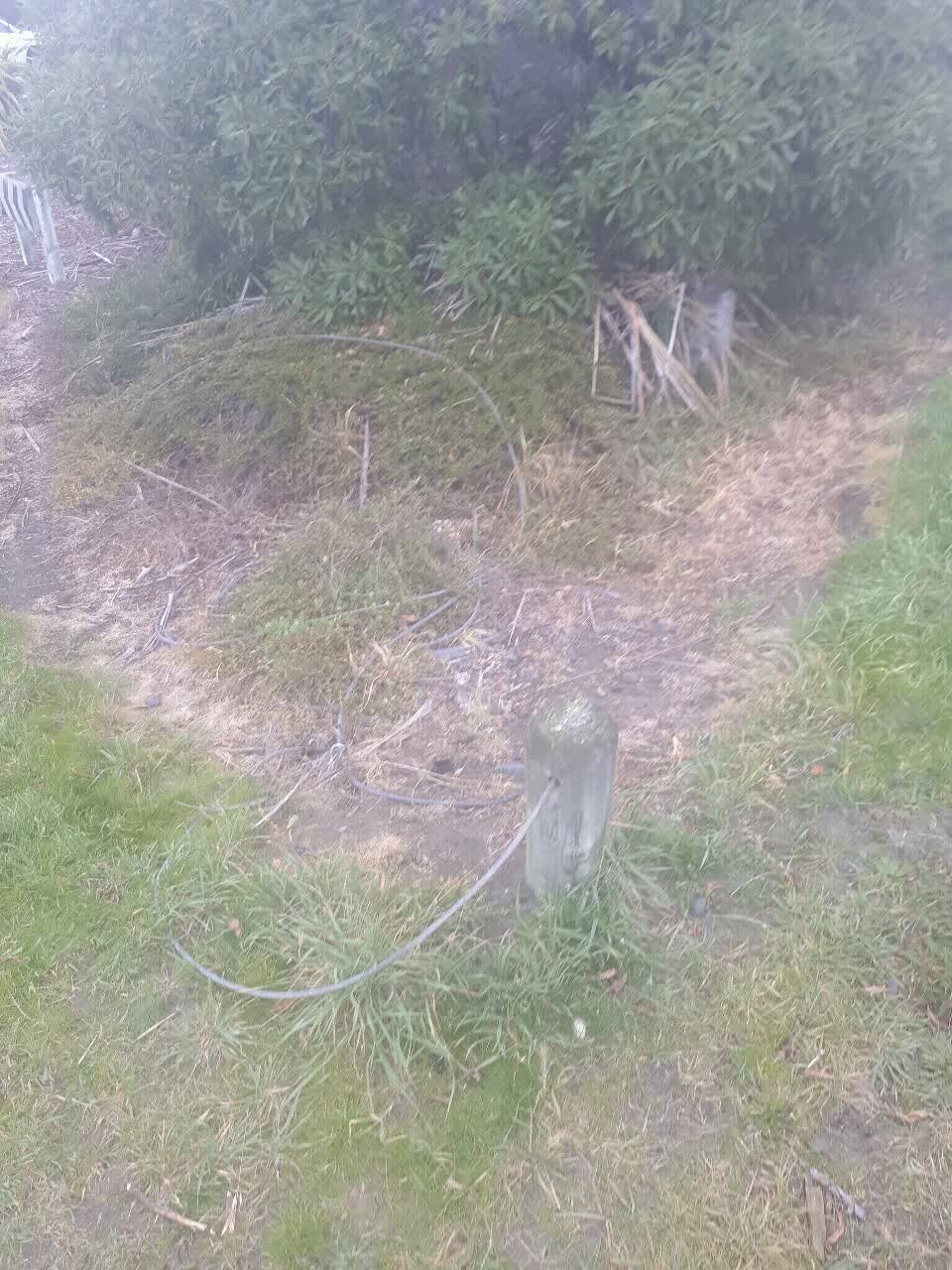 The photograph attached to this parks report