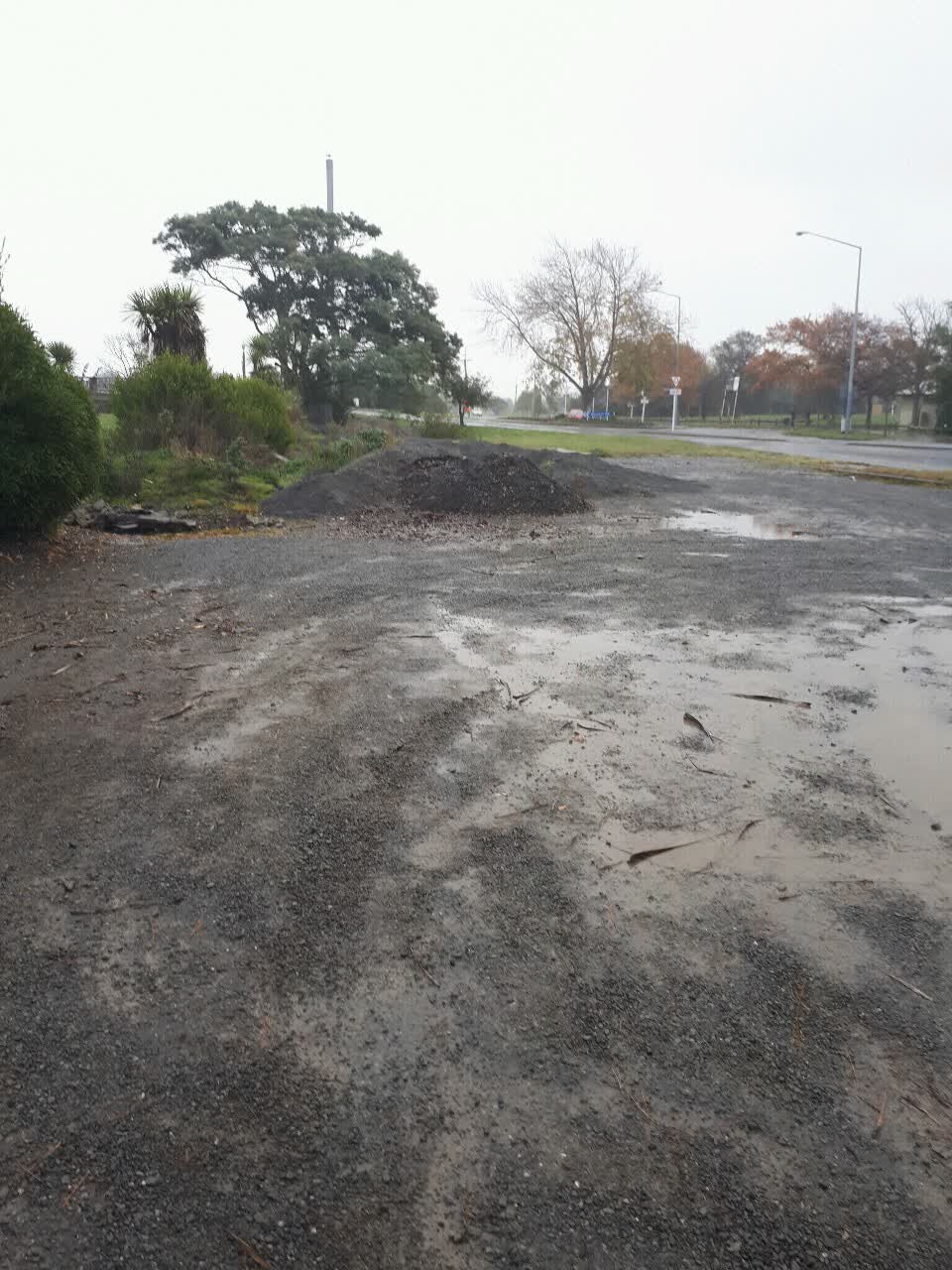 The photograph attached to this parks report