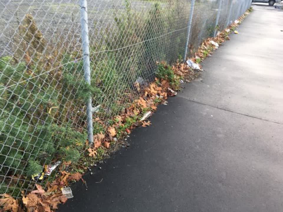 The photograph attached to this rubbish/recycling report