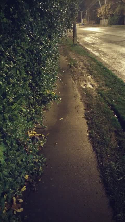 Roading/Streets, a report photo