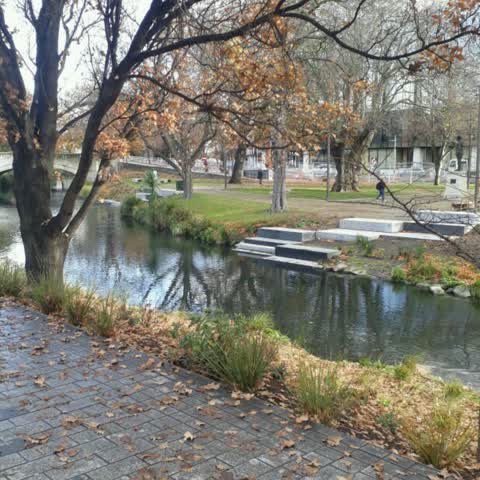 Parks, a report photo