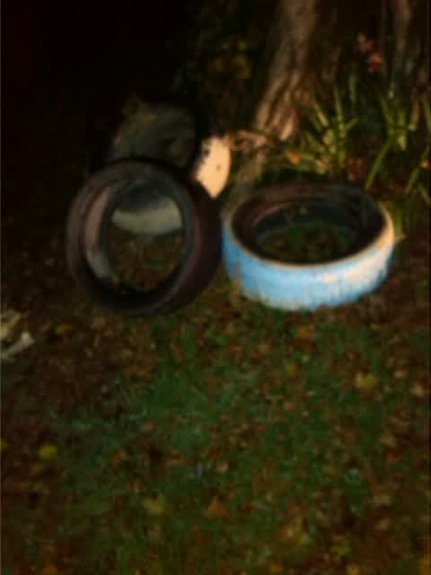 Rubbish/Recycling, a report photo