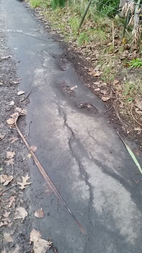 Roading/Streets, a report photo