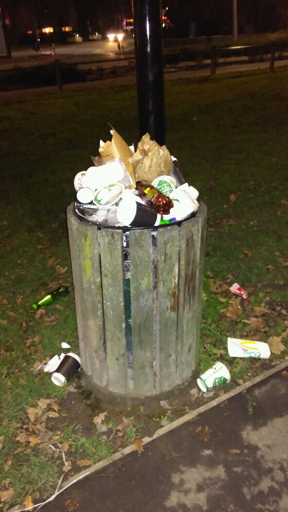 The photograph attached to this parks report