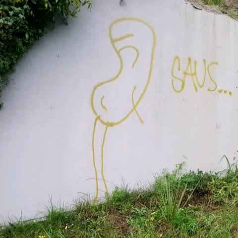 Graffiti, a report photo