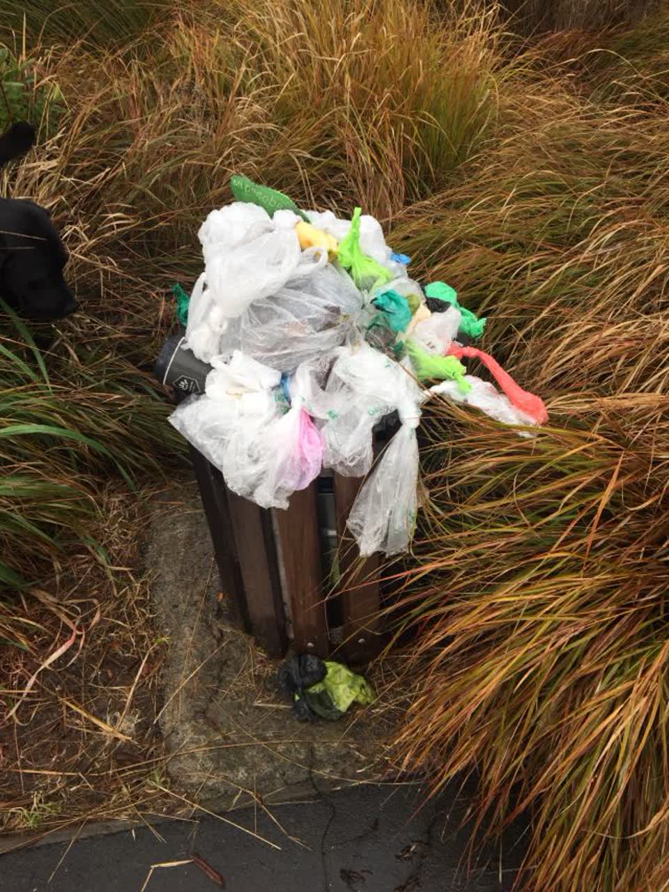 The photograph attached to this parks report