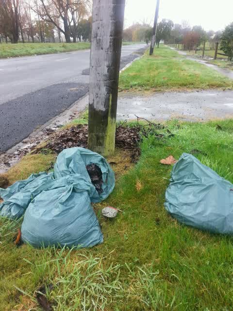 Rubbish/Recycling, a report photo