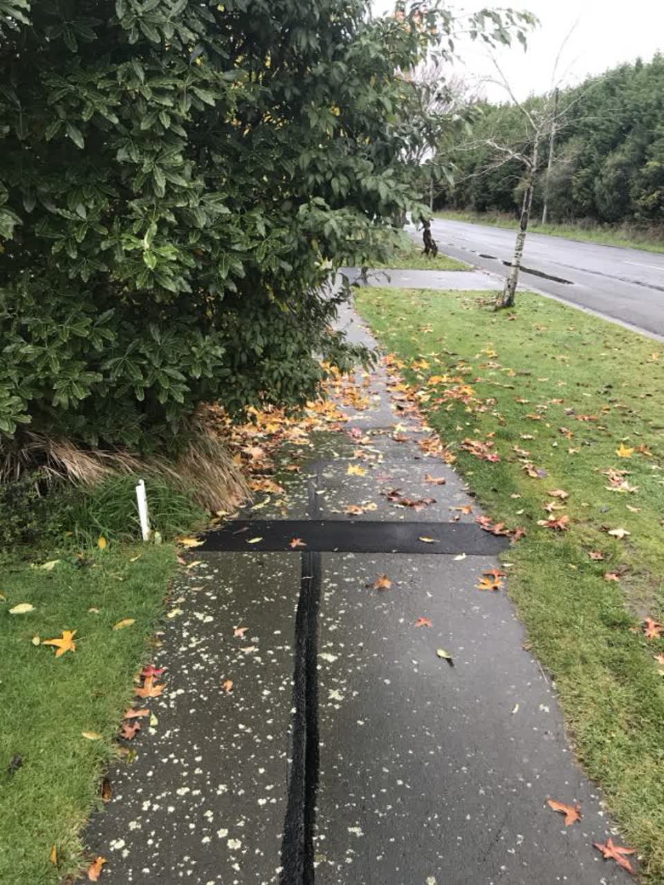 The photograph attached to this roading/streets report