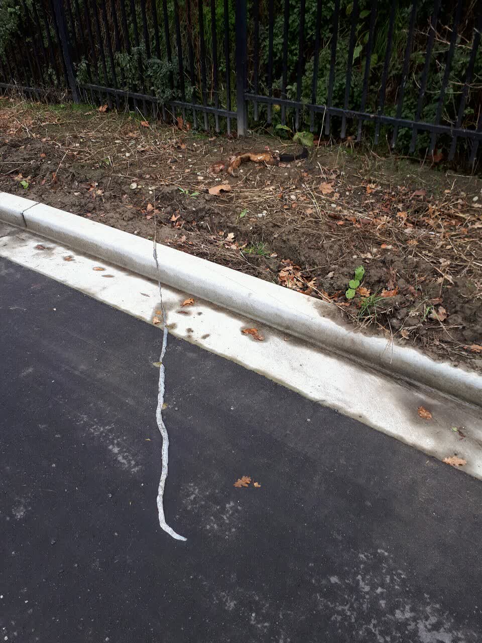 The photograph attached to this parks report