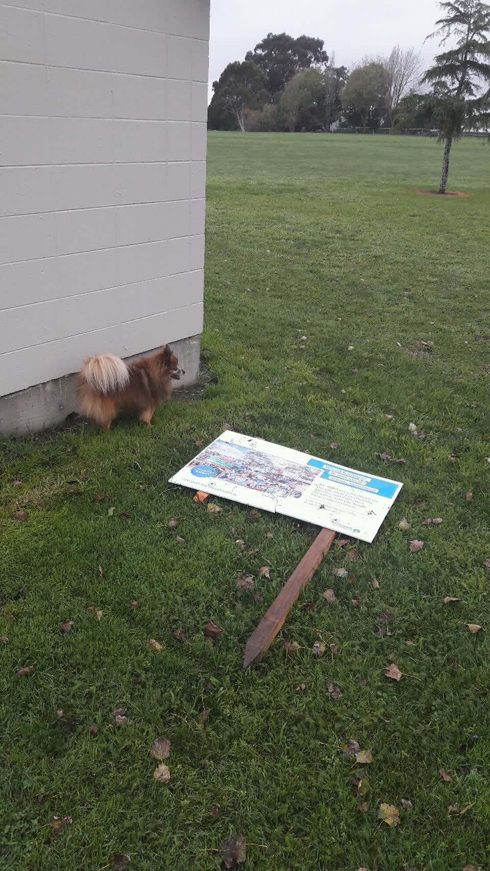 The photograph attached to this parks report