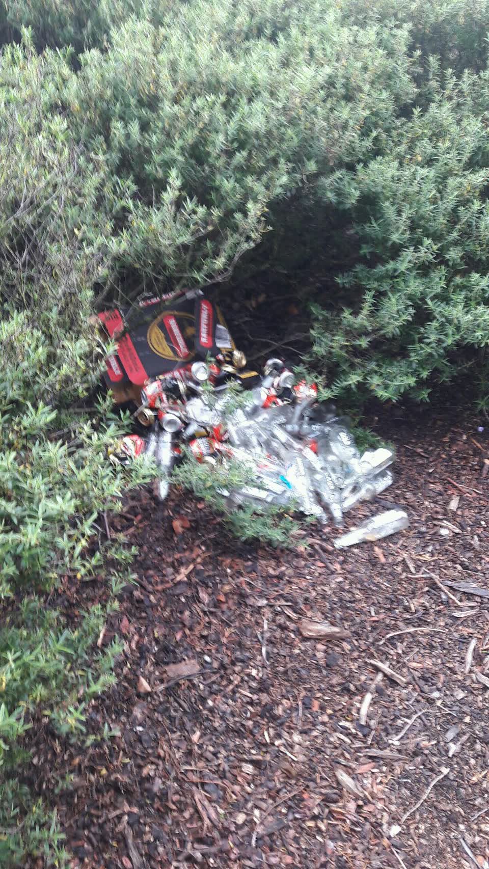 The photograph attached to this parks report