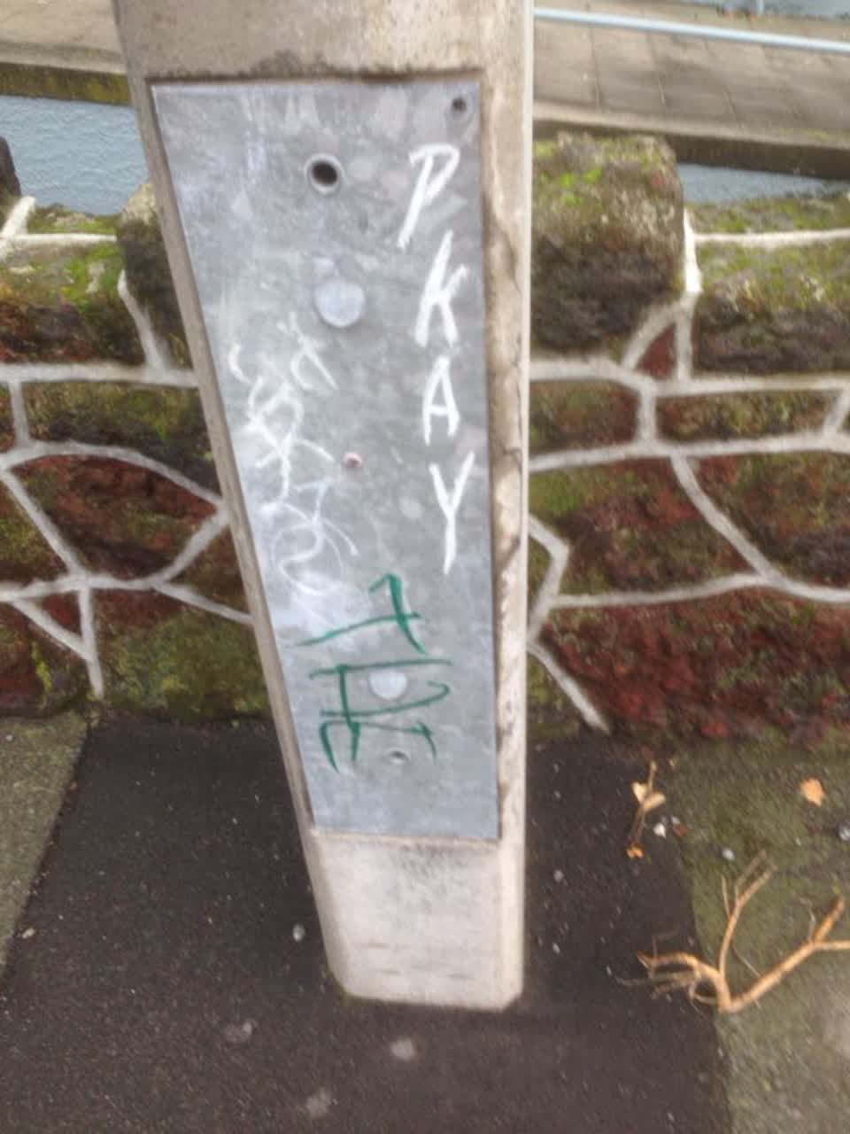 The photograph attached to this graffiti report