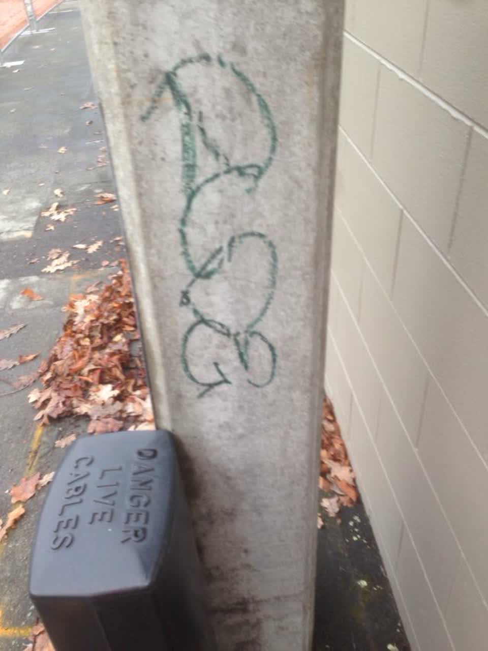 The photograph attached to this graffiti report