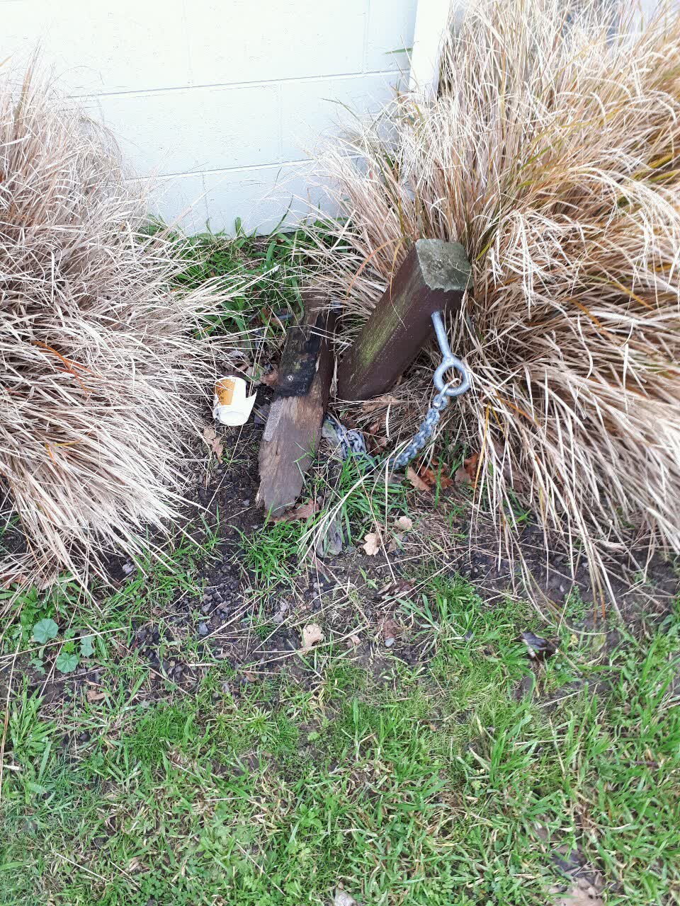 The photograph attached to this parks report