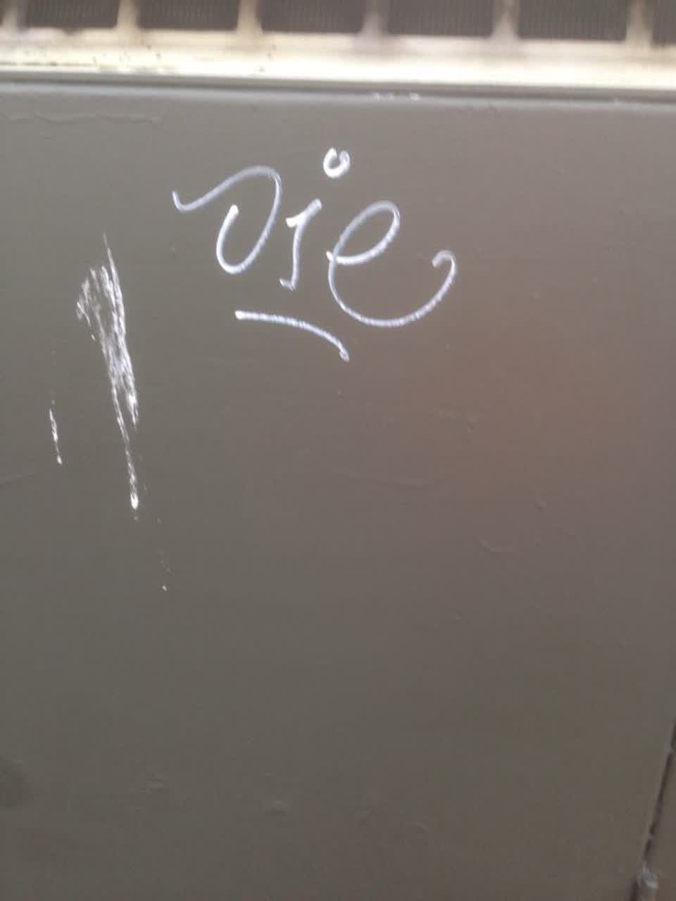 The photograph attached to this graffiti report