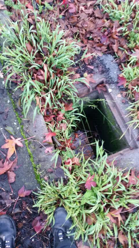 Wastewater/Stormwater — a report photo