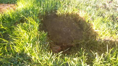 Water Supply, a report photo