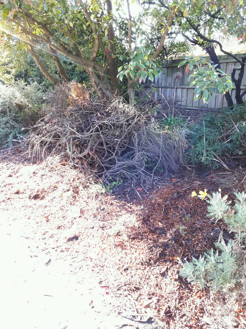 The photograph attached to this parks report