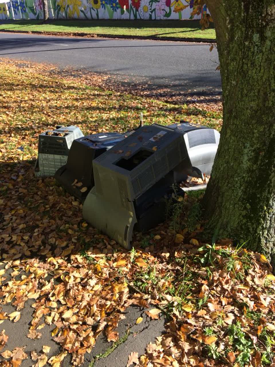The photograph attached to this rubbish/recycling report