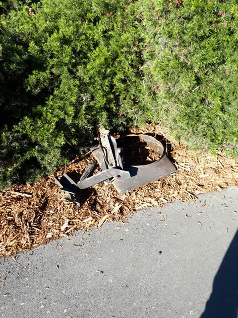 Parks, a report photo