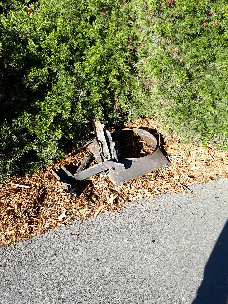The photograph attached to this parks report
