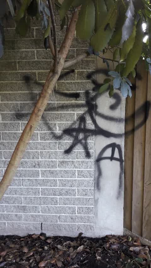Graffiti, a report photo