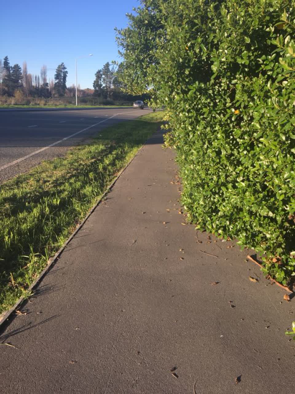 The photograph attached to this roading/streets report