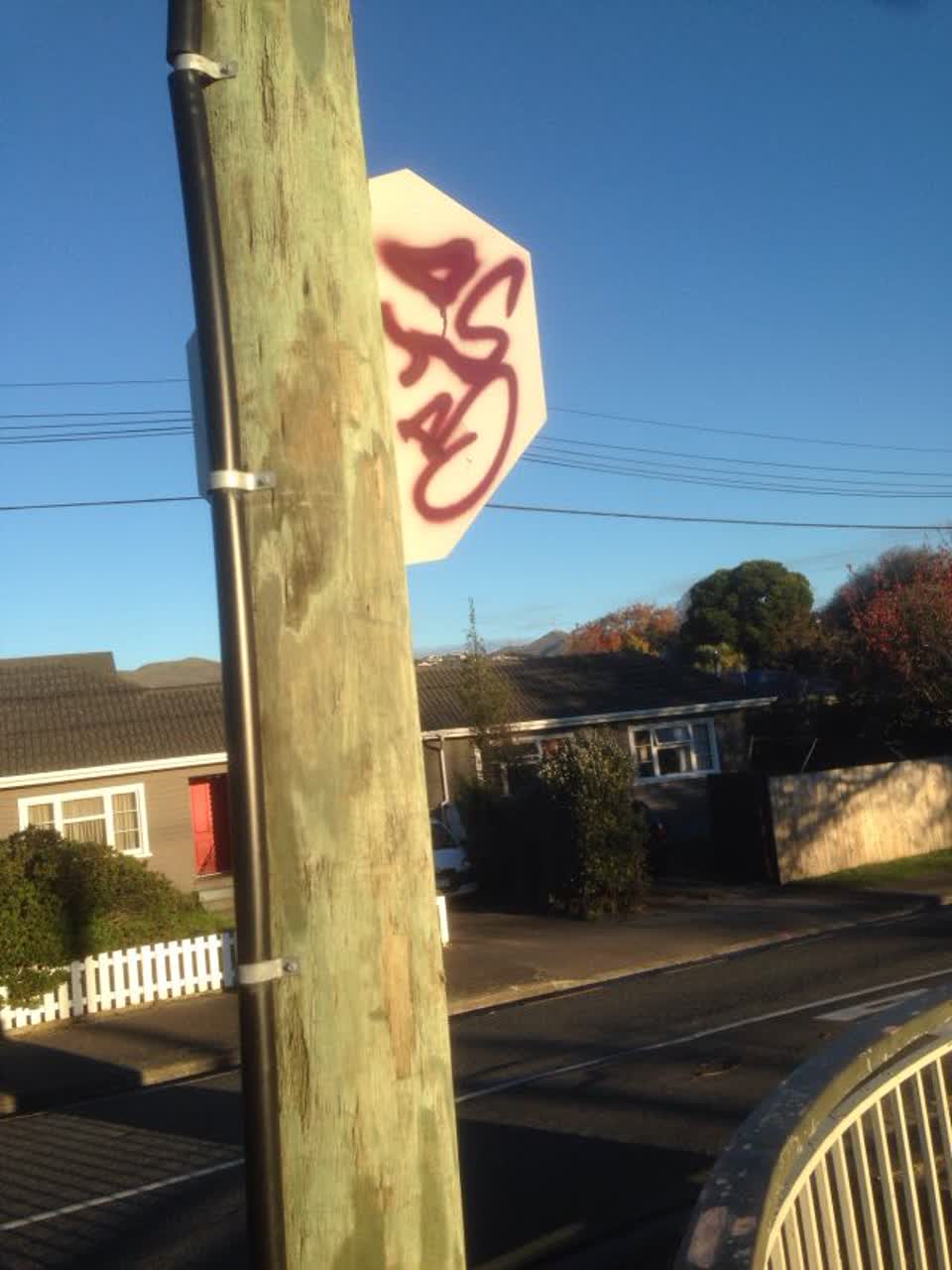 The photograph attached to this graffiti report
